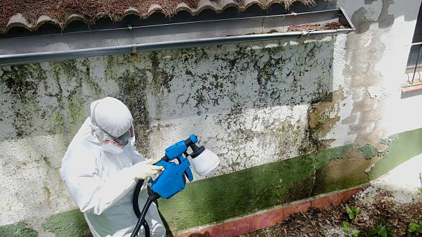 Mold Remediation service in Midland, Midland, WA